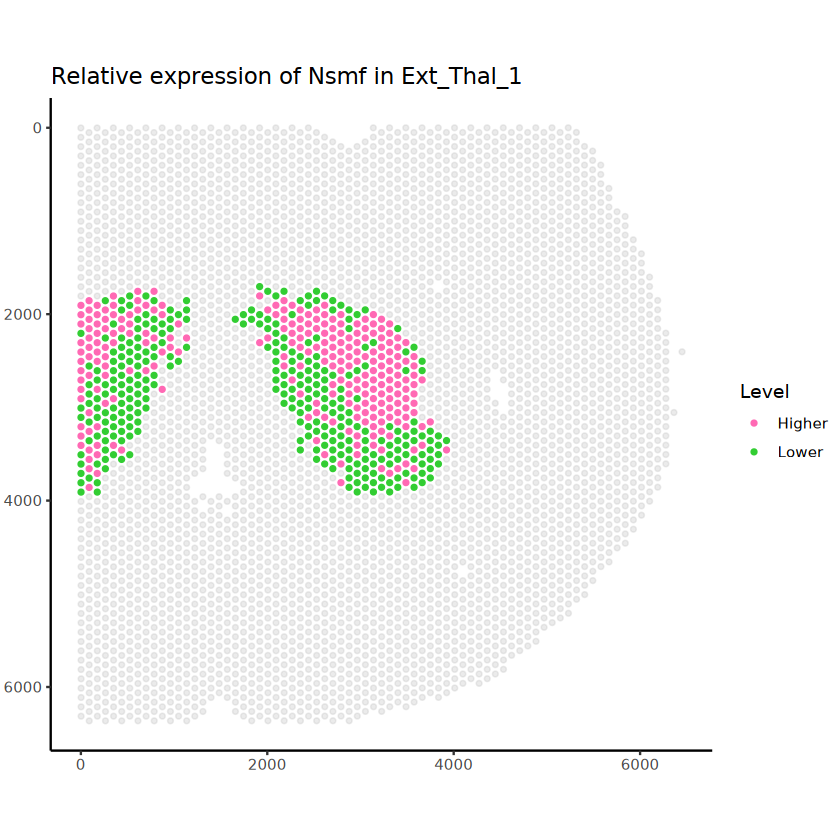 ../_images/RCTD_mouse_brain_14_0.png