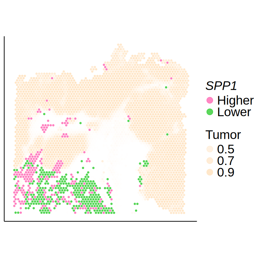 ../../_images/analysis_CRC_CRC_MCube_CAF_Macrophage_16_0.png