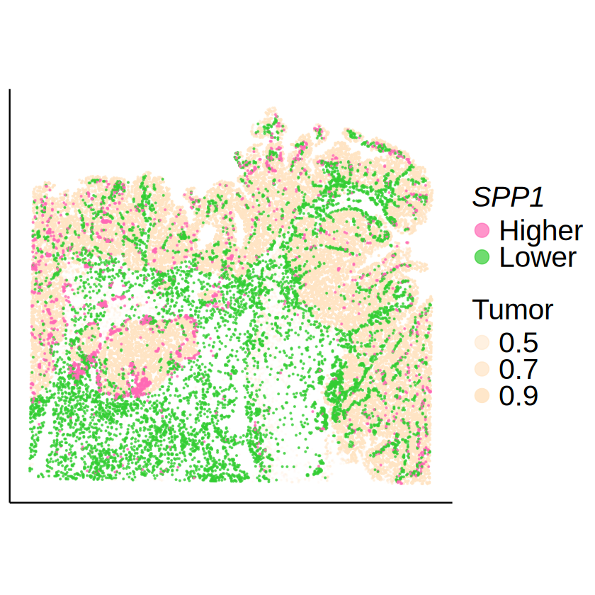 ../../_images/analysis_CRC_CRC_MCube_CAF_Macrophage_30_0.png