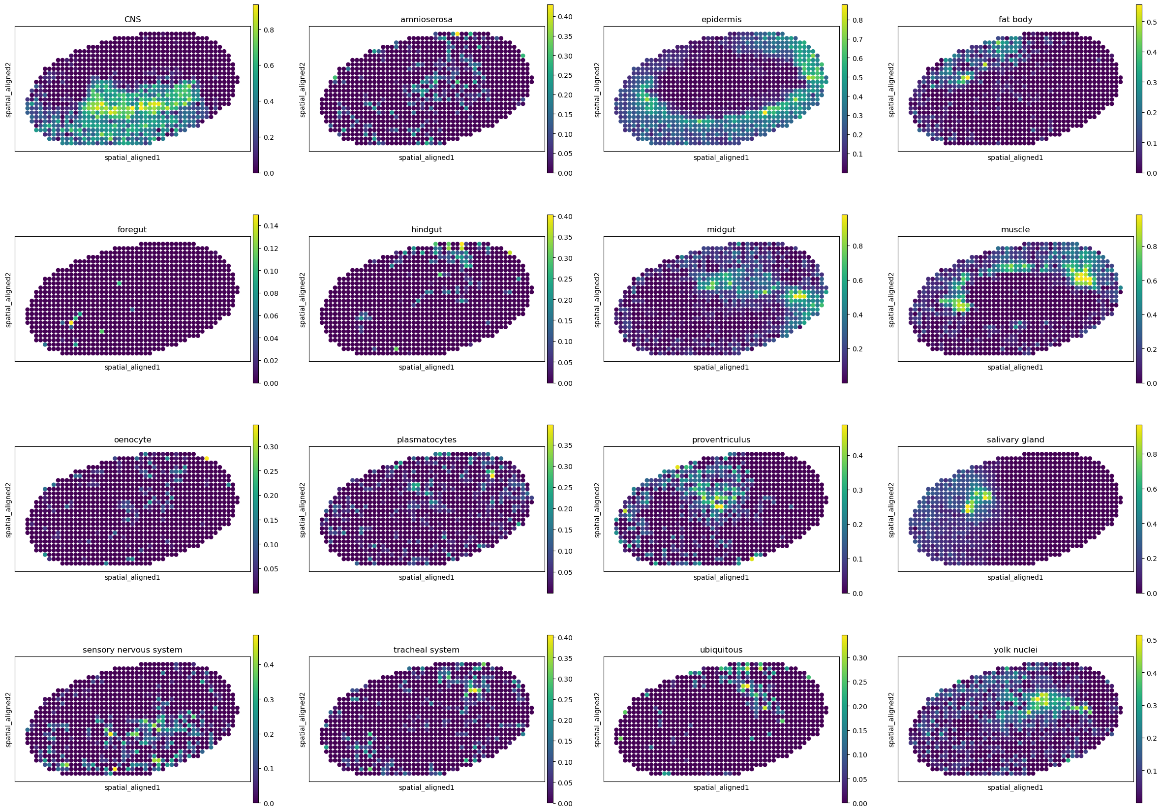 ../../_images/analysis_Drosophila_embryo_Drosophila_embryo_STitch3D_12_1.png