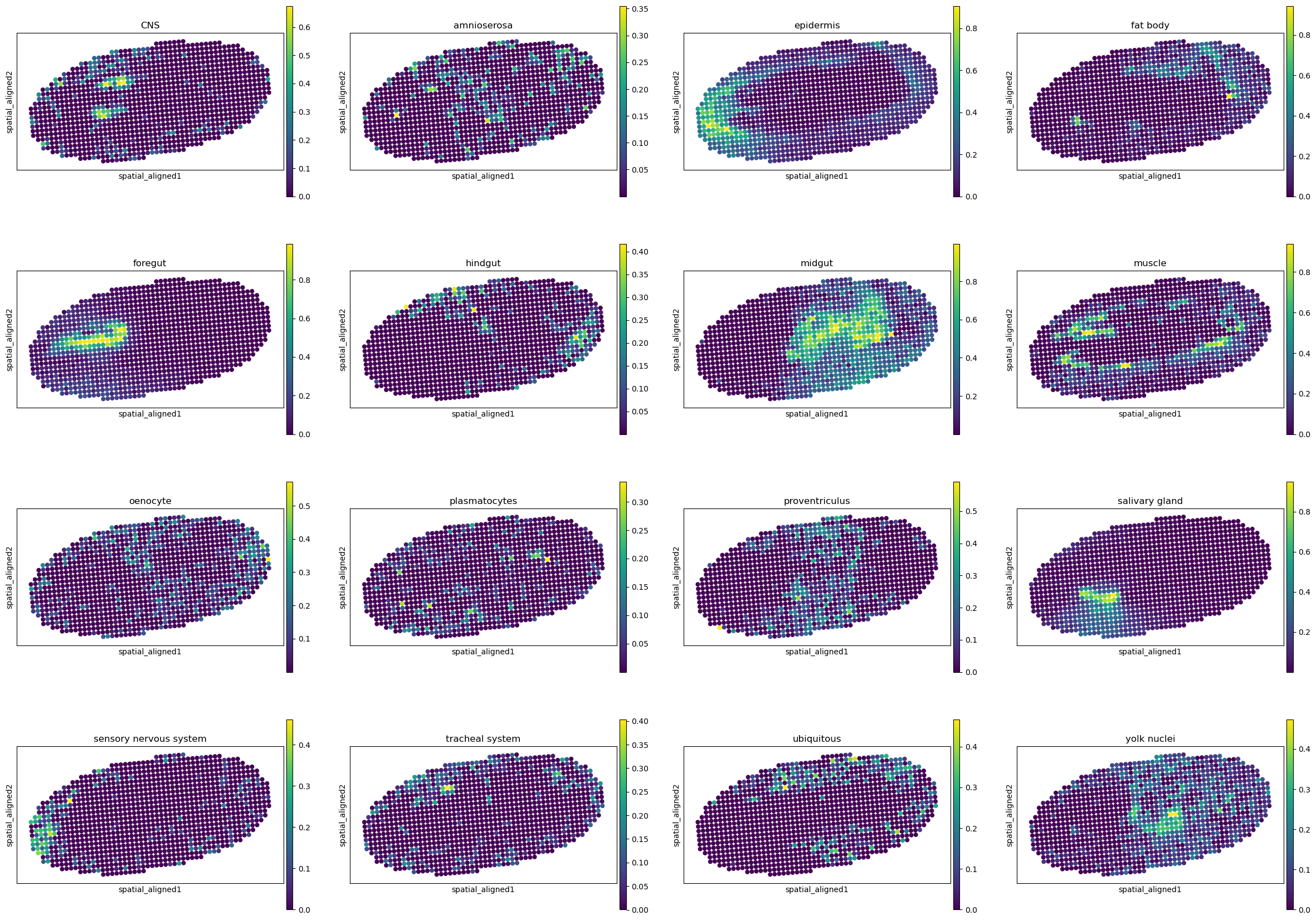 ../../_images/analysis_Drosophila_embryo_Drosophila_embryo_STitch3D_12_13.png