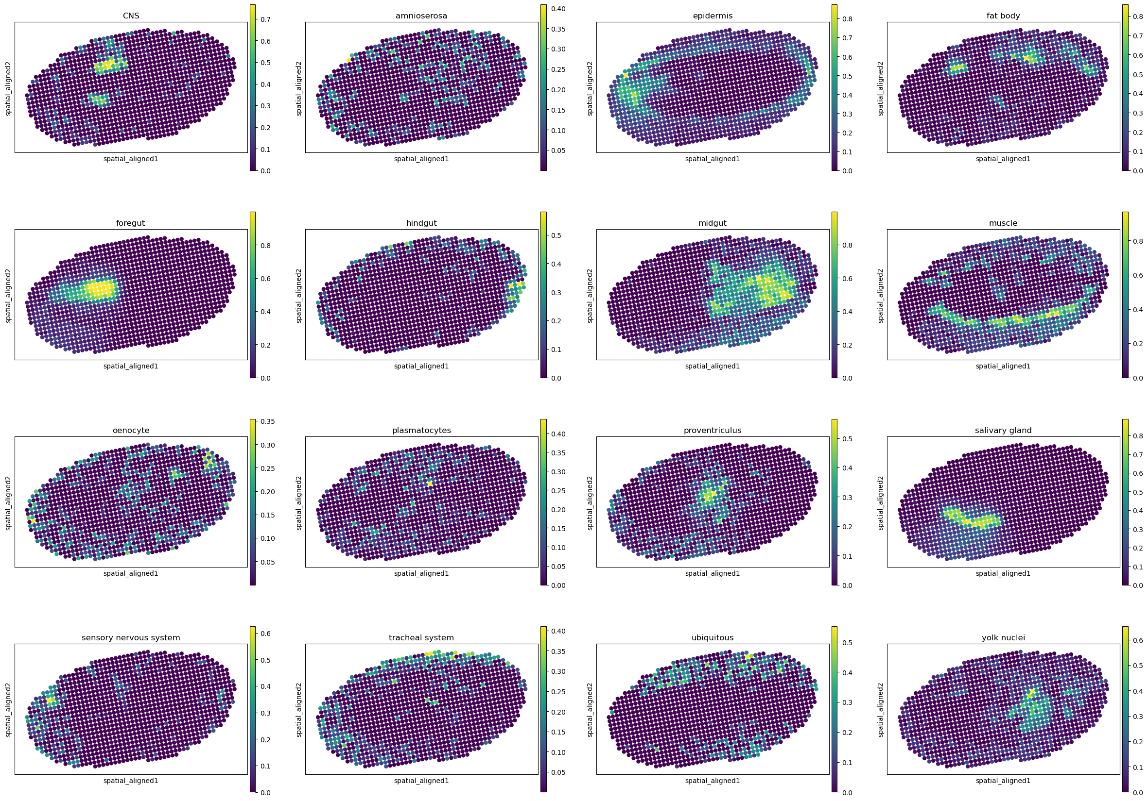 ../../_images/analysis_Drosophila_embryo_Drosophila_embryo_STitch3D_12_17.png