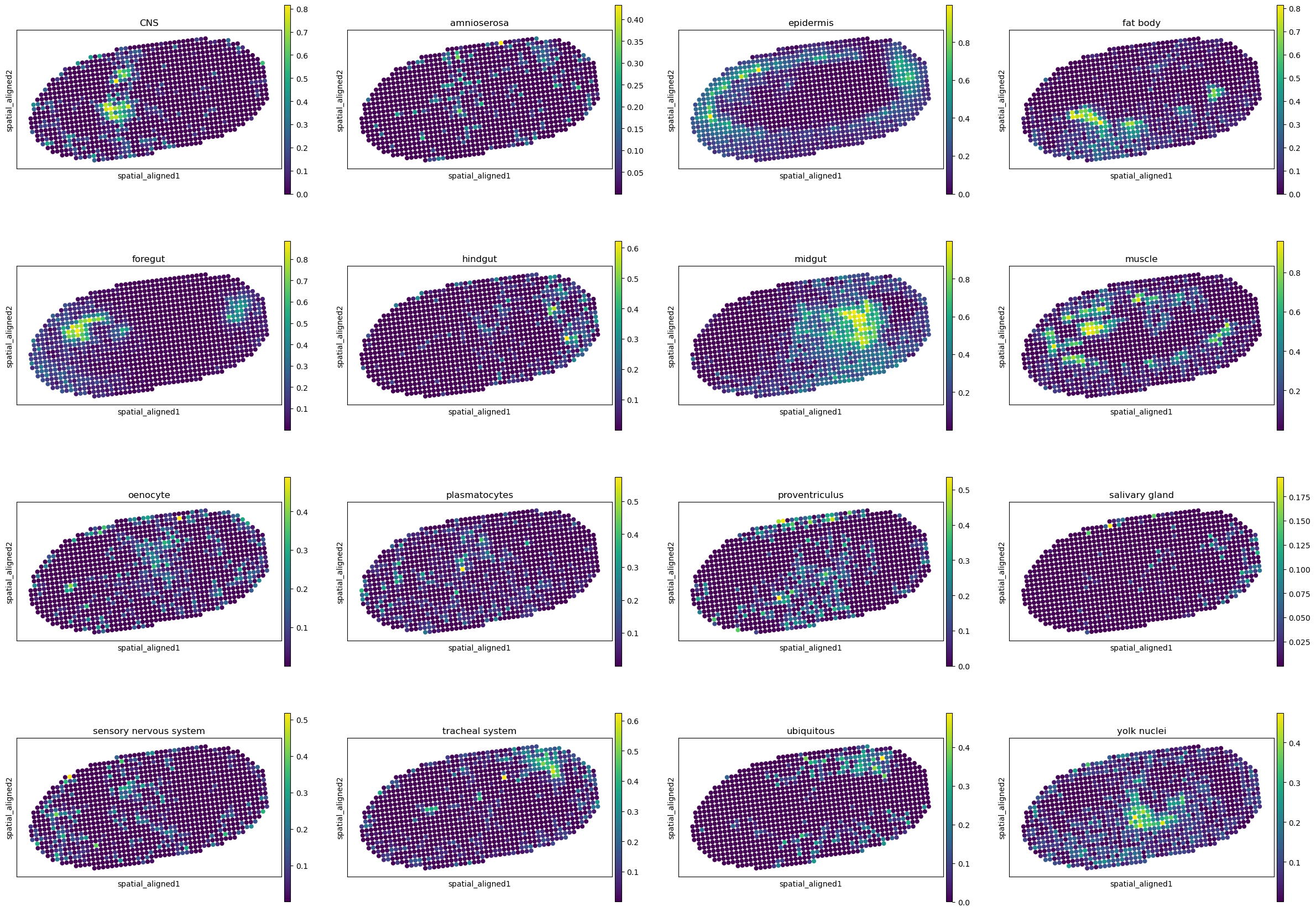 ../../_images/analysis_Drosophila_embryo_Drosophila_embryo_STitch3D_12_19.png