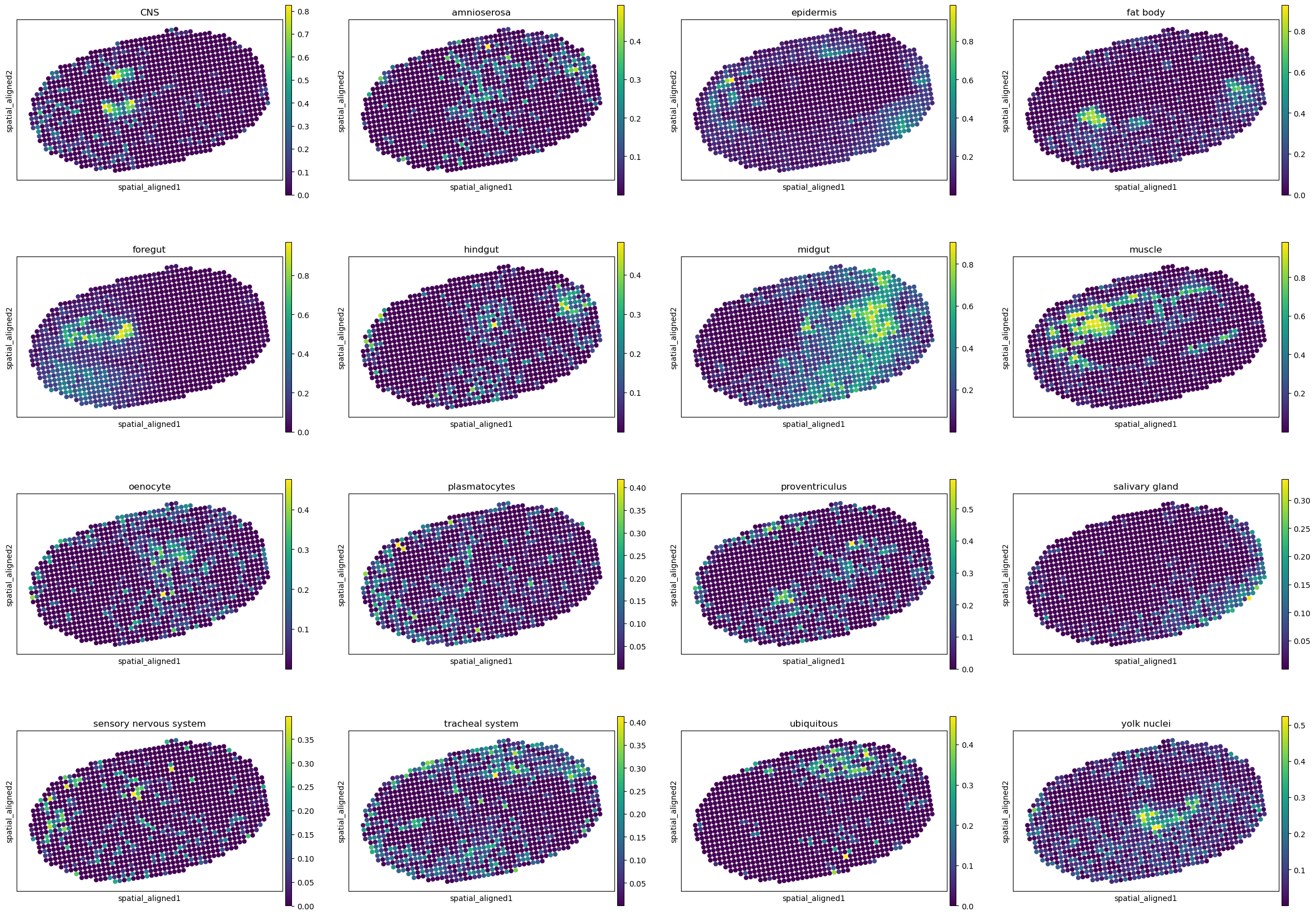 ../../_images/analysis_Drosophila_embryo_Drosophila_embryo_STitch3D_12_21.png