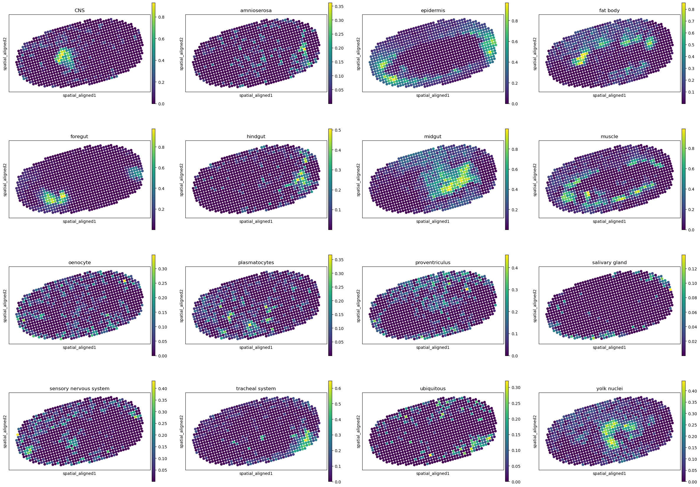 ../../_images/analysis_Drosophila_embryo_Drosophila_embryo_STitch3D_12_25.png