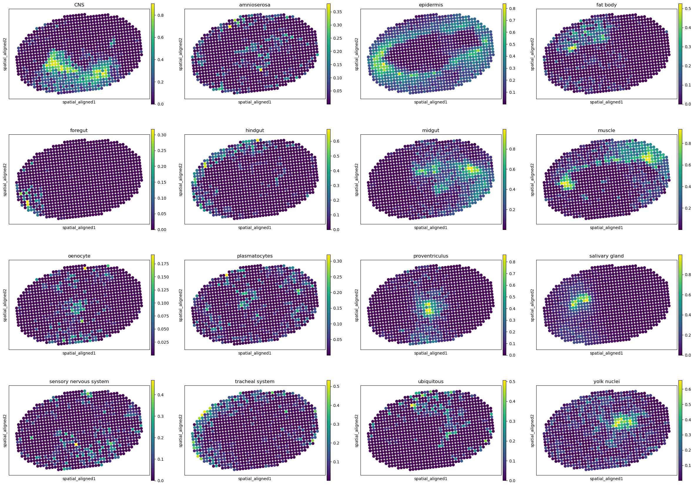 ../../_images/analysis_Drosophila_embryo_Drosophila_embryo_STitch3D_12_3.png