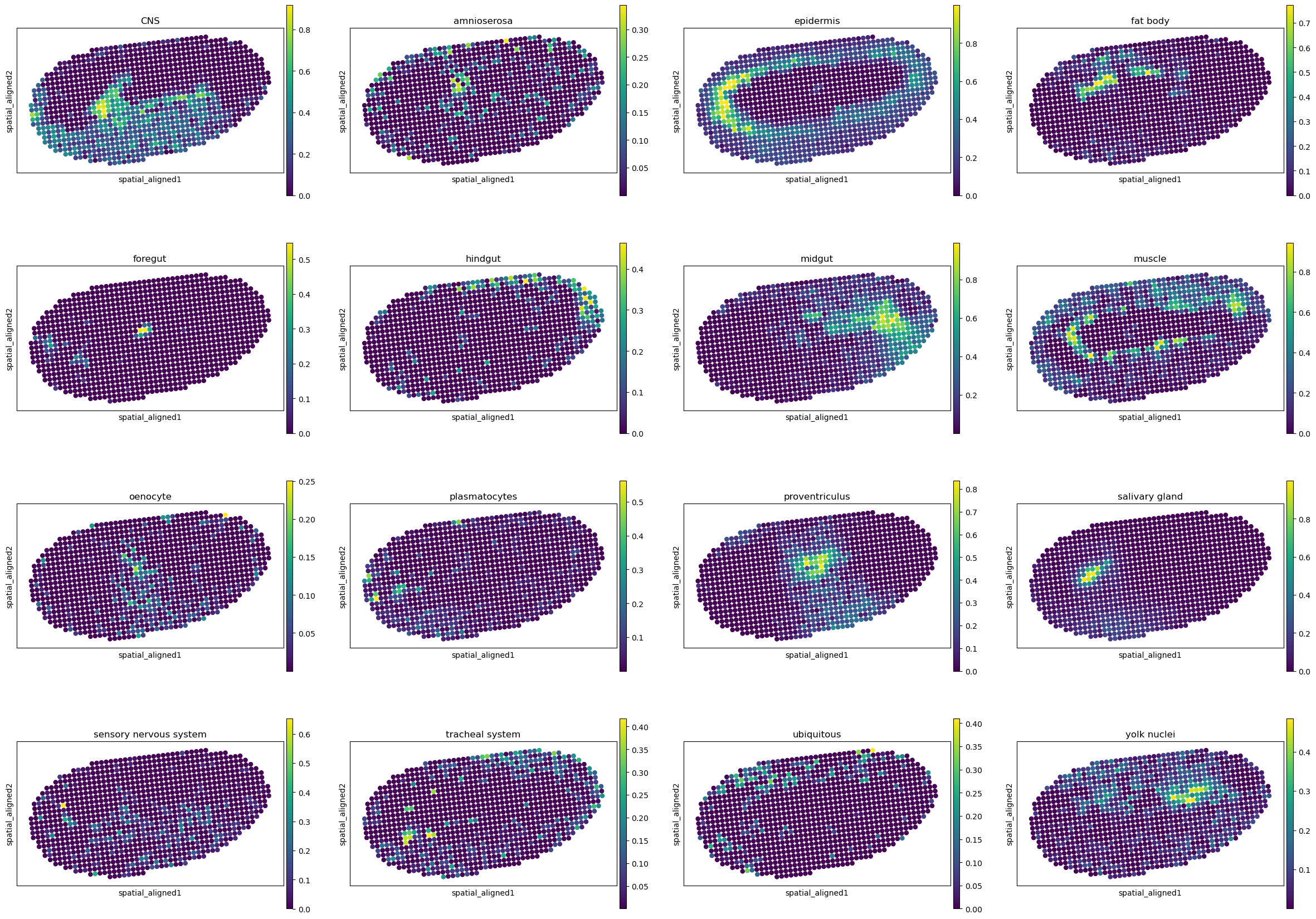 ../../_images/analysis_Drosophila_embryo_Drosophila_embryo_STitch3D_12_5.png