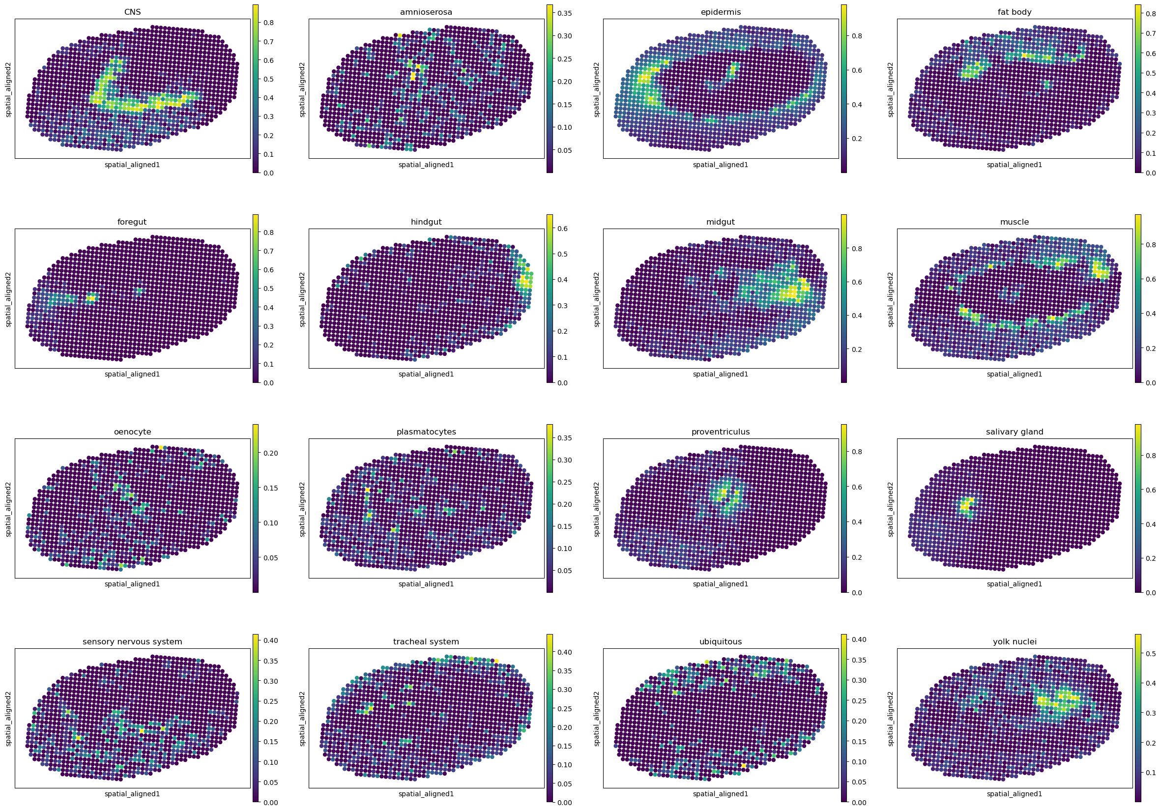 ../../_images/analysis_Drosophila_embryo_Drosophila_embryo_STitch3D_12_7.png