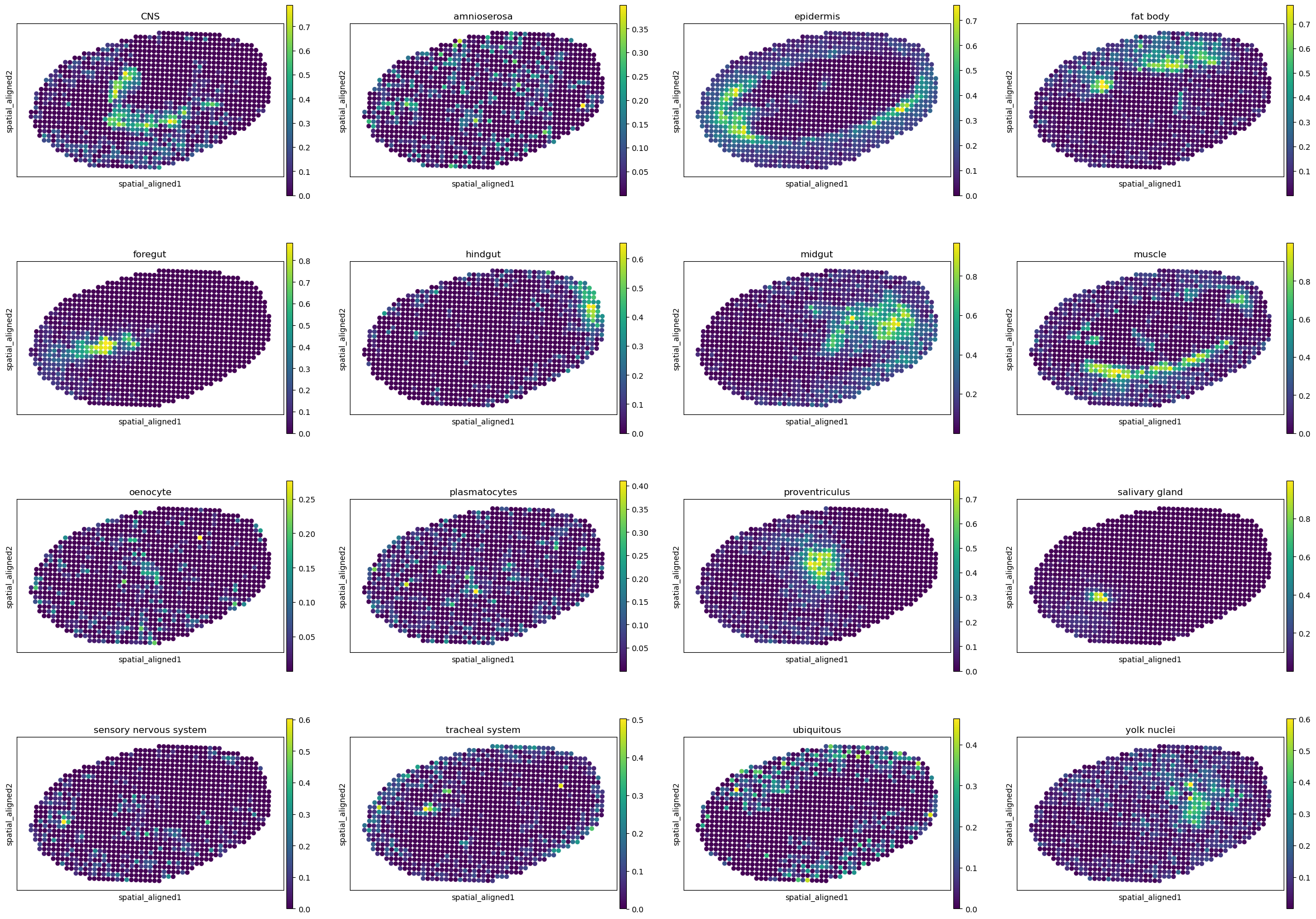 ../../_images/analysis_Drosophila_embryo_Drosophila_embryo_STitch3D_12_9.png