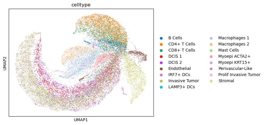 ../../_images/analysis_breast_cancer_breast_cancer_data_5_1.png