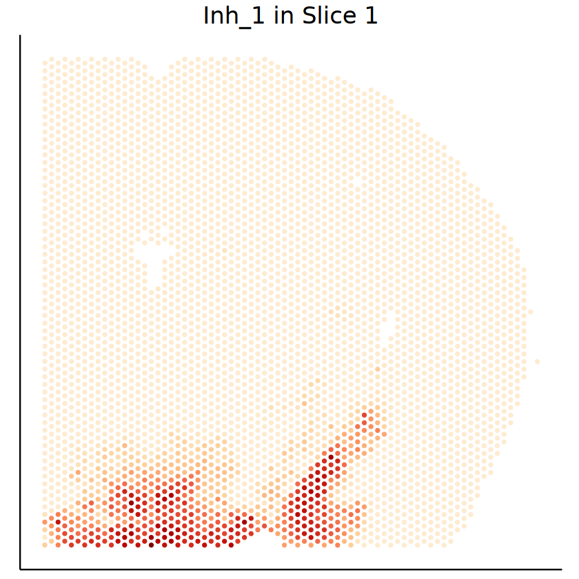 ../../_images/analysis_mouse_brain_mouse_brain_MCube_31_0.png